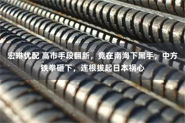 宏琳优配 高市手段翻新，竟在南海下黑手，中方铁拳砸下，连根拔起日本祸心