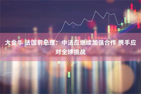 大金牛 法国前总理：中法应继续加强合作 携手应对全球挑战