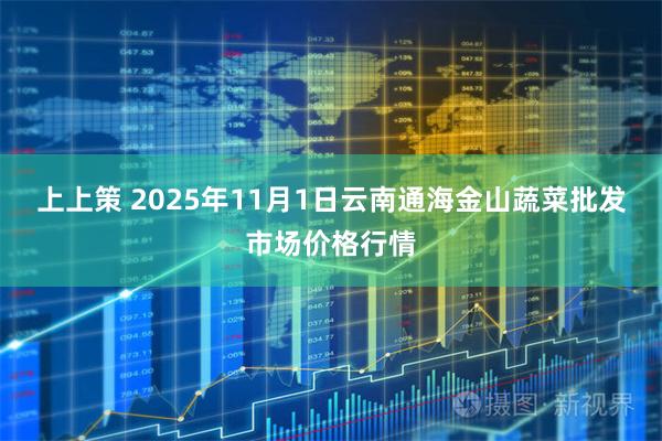 上上策 2025年11月1日云南通海金山蔬菜批发市场价格行情