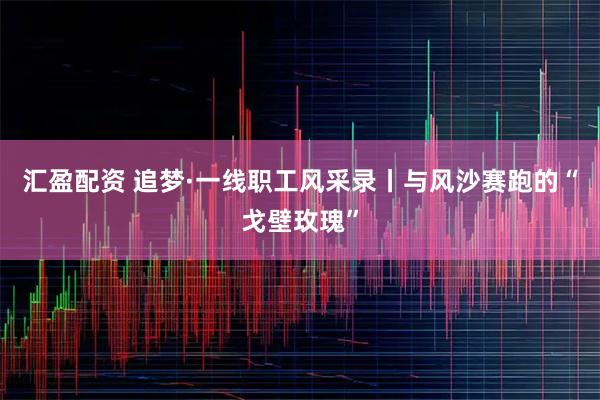 汇盈配资 追梦·一线职工风采录丨与风沙赛跑的“戈壁玫瑰”